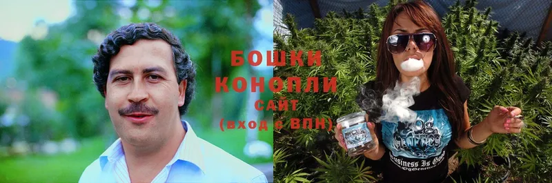 Каннабис Bruce Banner  Шумерля 